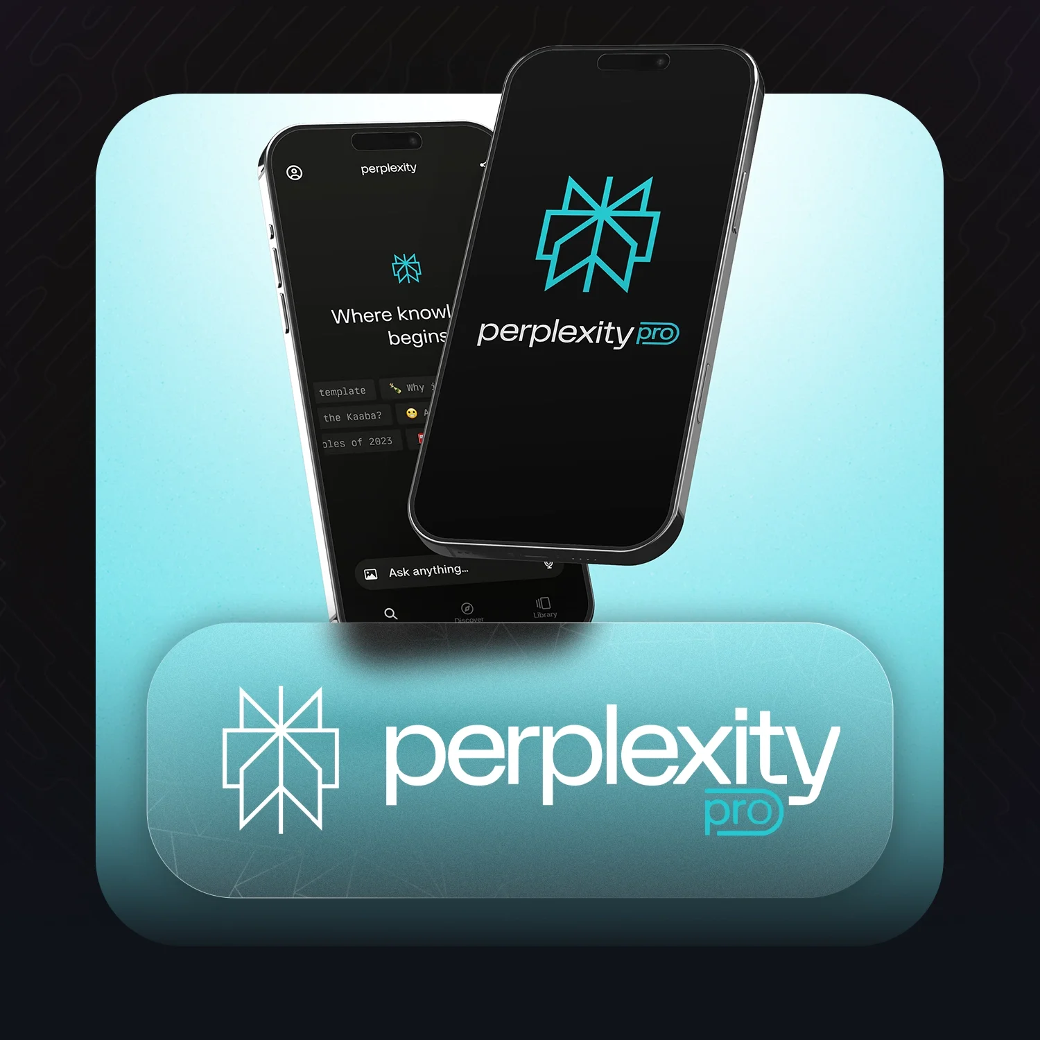 Perplexity Pro